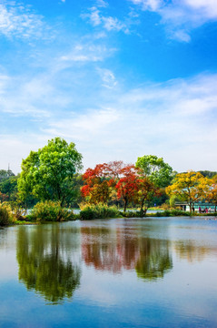 湖畔秋景