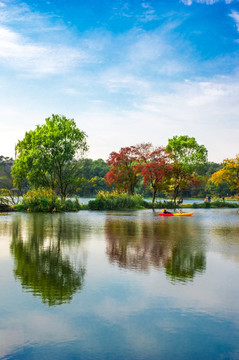 秋天树木池塘风景