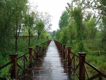 雨天木桥