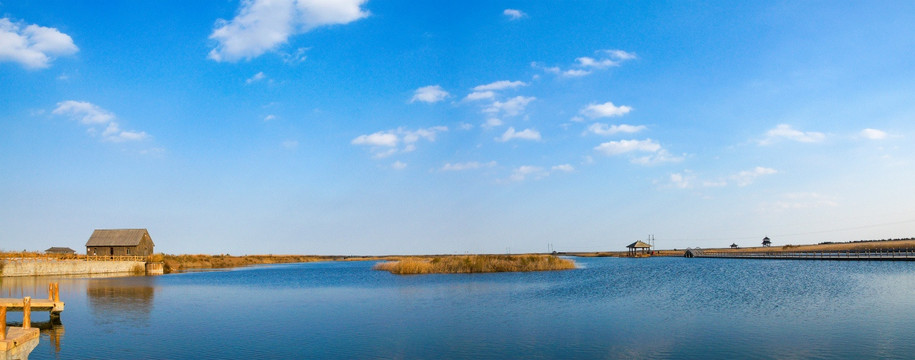 东营黄河口湿地