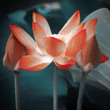 荷花油畫