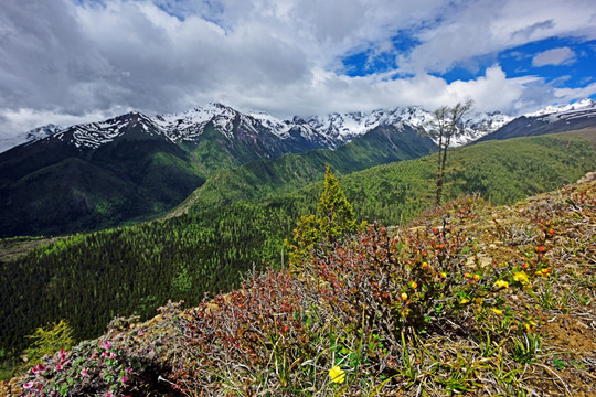 高山 群山 山峰 山脉