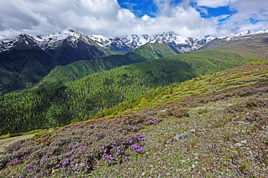 高山 群山 山峰 山脉