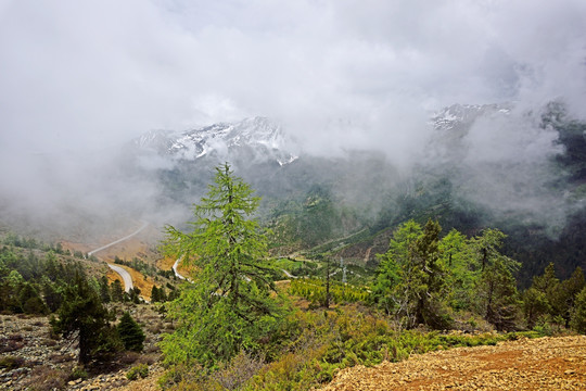 盘山公路