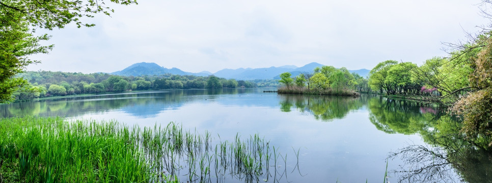 西湖晨景