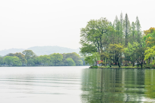 西湖晨景