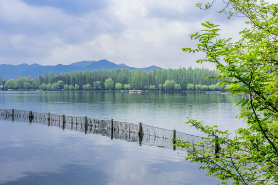 西湖晨景