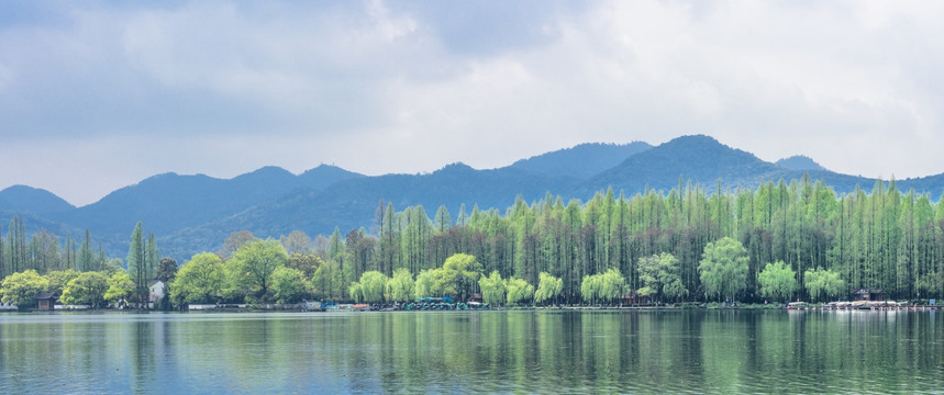 西湖晨景