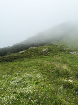 牛背梁 冰川遗迹 高山草甸