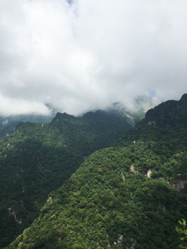 秦岭山 牛背梁