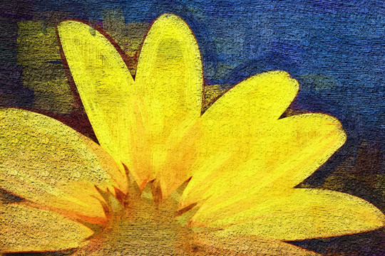 花卉無框畫