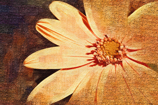 花卉無框畫