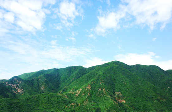 绿色山丘 荒山绿化