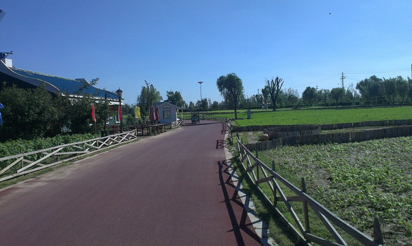 秦黄河湿地公园