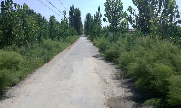 农村的道路
