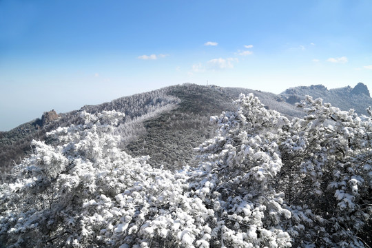 青岛崂山雾凇