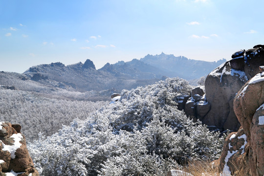 青岛崂山雾凇