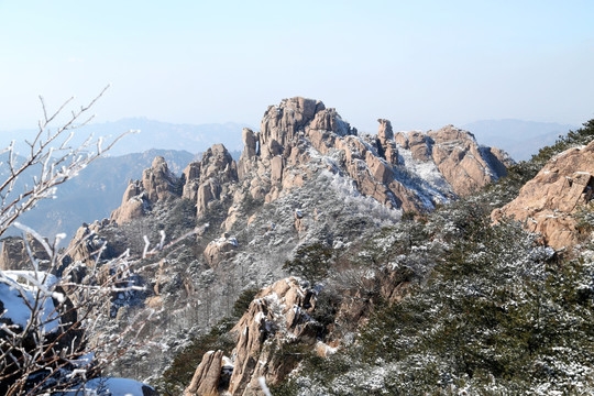 青岛崂山雾凇