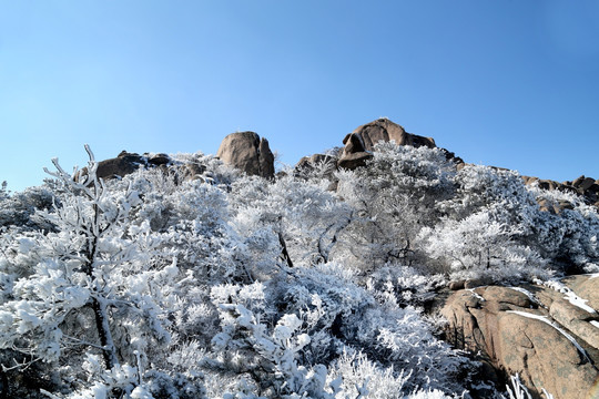 青岛崂山雾凇