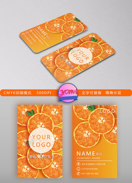 水果創(chuàng)意名片