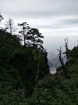 云海山峦