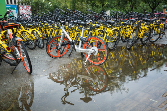 雨后 共享单车