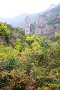 雁荡山