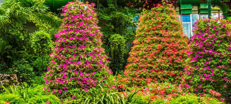 花柱 花海