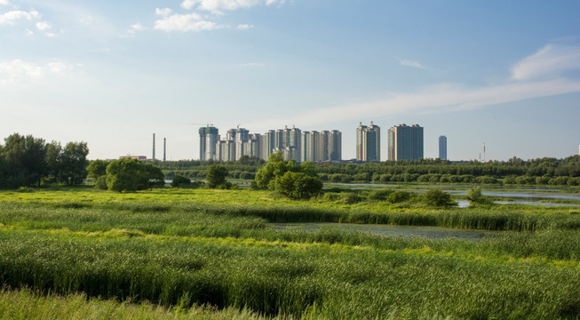 都市新区建筑湿地风光