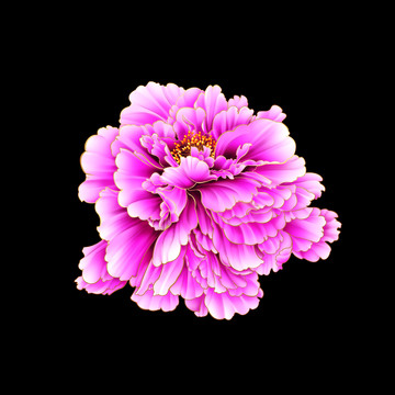 牡丹花 漂亮花噴繪（去底分層）