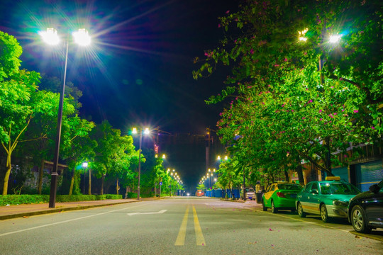 惠州市的道路夜景