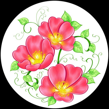 紅花