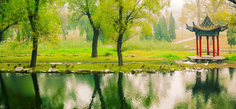 柳树湖水亭子秋景