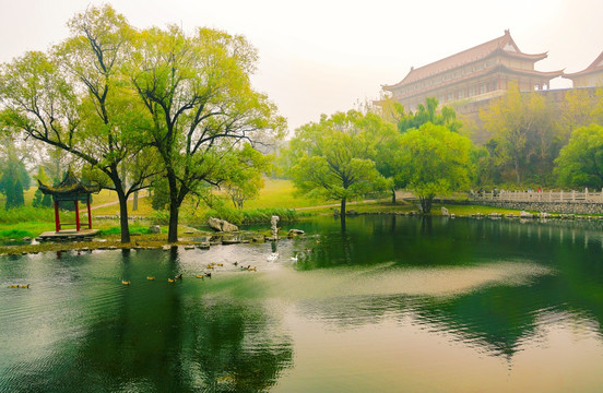 柳树湖水亭子秋景