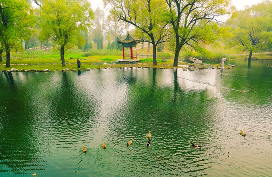 柳树湖水亭子秋景