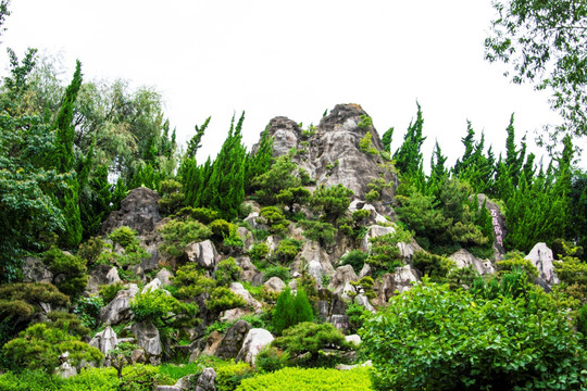 假山 五岳独尊