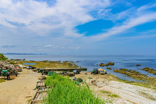 养马岛 海水养殖场码头