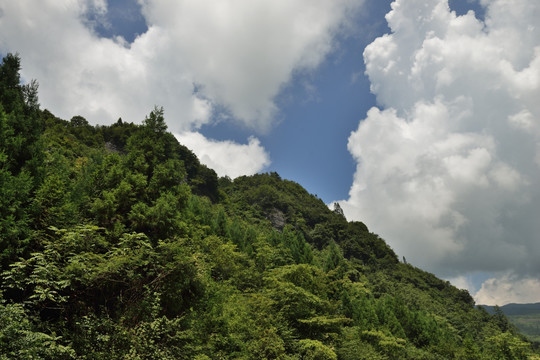 大山 鄂西风光