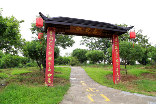 七星岩 桃花岛