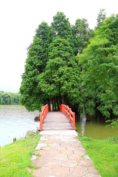 湖泊 树 桥
