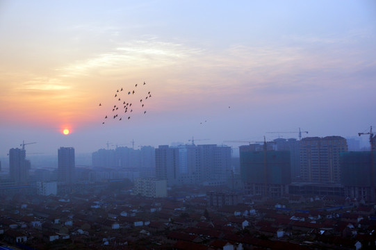 城市雾霾早晨