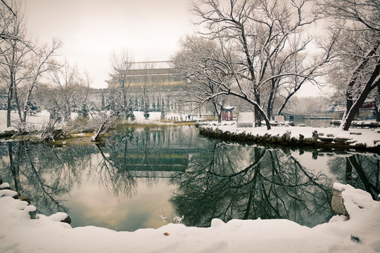 风景画 雪景公园