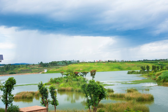 阵雨 湿地风光