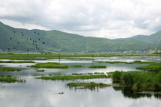 腾冲北海湿地保护区