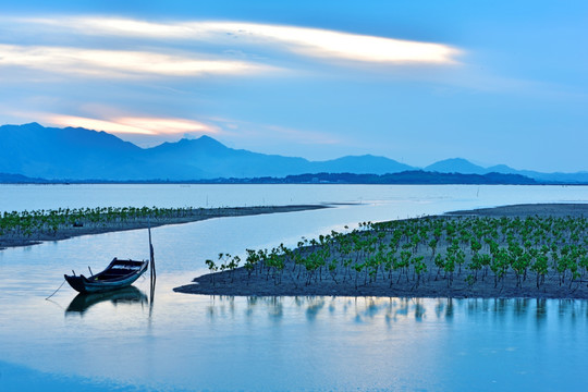 湿地 滩涂