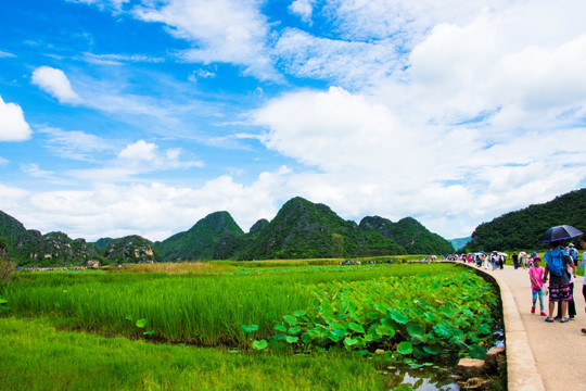 山顶风光