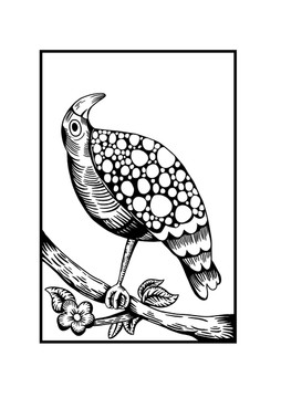 鳥