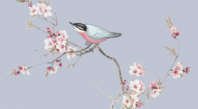 寫意花鳥