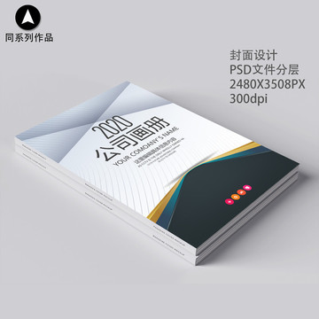 企業(yè)畫冊書籍標(biāo)書封面