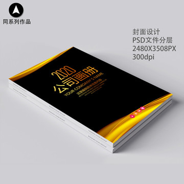 高端商務(wù)畫冊(cè)書籍招商手冊(cè)